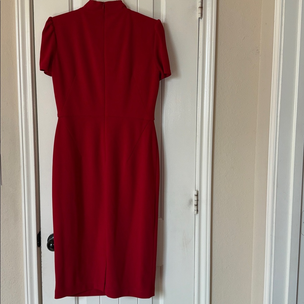 Maggy London Dress - Picture 3 of 6